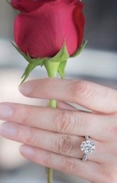 الصورة الرمزية فاطمه